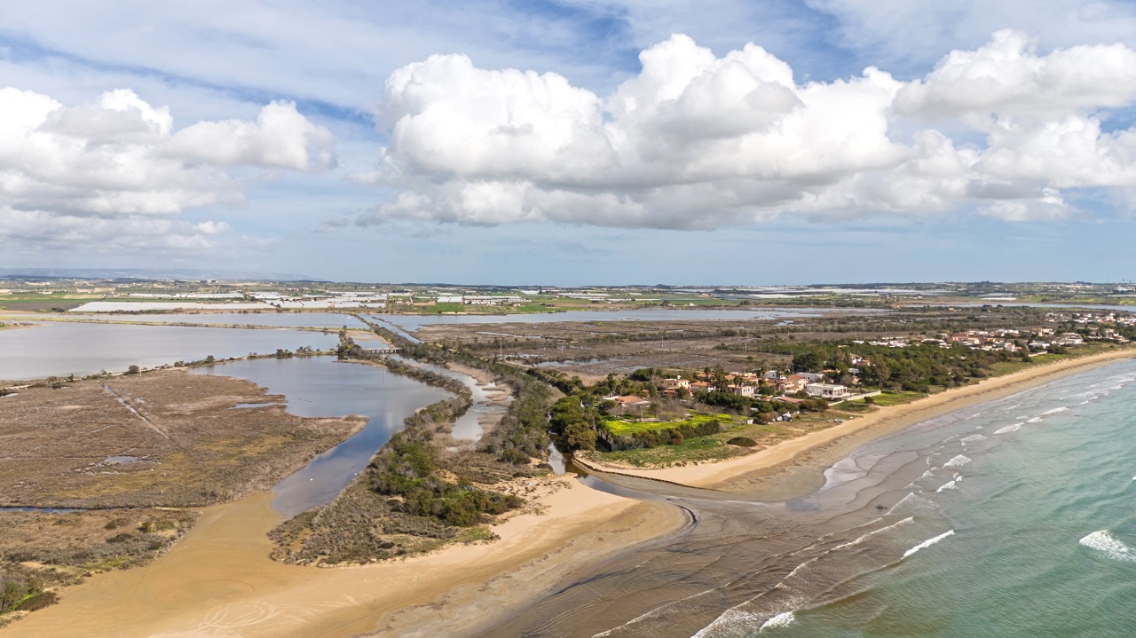 After almost 12 months of drought in Sicily, the diversity of  - Bild 3